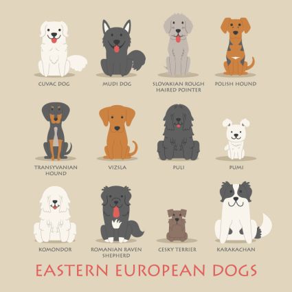 12 Eastern European cartoon dog design vector material
