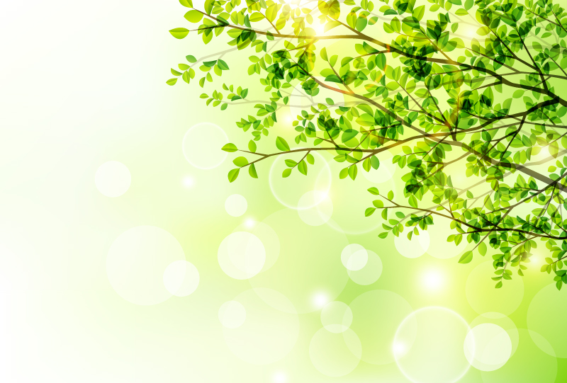 Spring trees and sun vector
