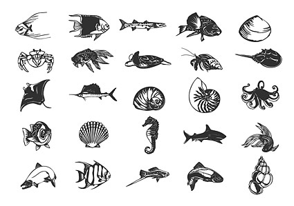 Keyword: black and white line drawing hippocampus hermit crab shells and 