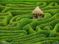 National Geographic Magazine Wallpaper