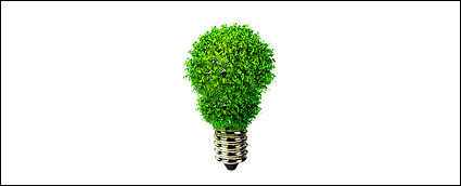 Alternative light bulb picture material-3
