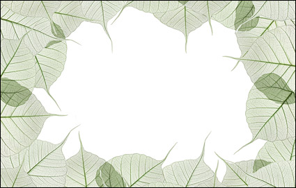 Leaves the composition of decorative side picture material