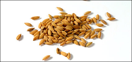 Food series picture material-4