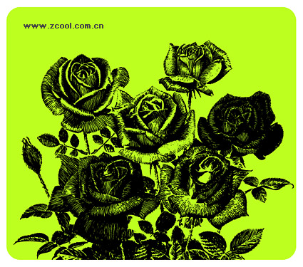 black and white rose drawing. roses, lack-and-white,