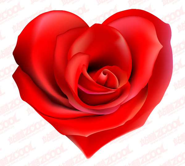 eps format, including jpg preview, keyword: heart-shaped vector, roses, 