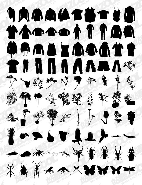 T-shirt, pants, flowers, plants, insects vector material