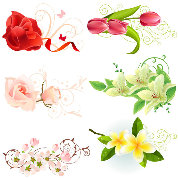 Beautiful flowers - vector material Download Free Vector,PSD,FLASH,JPG