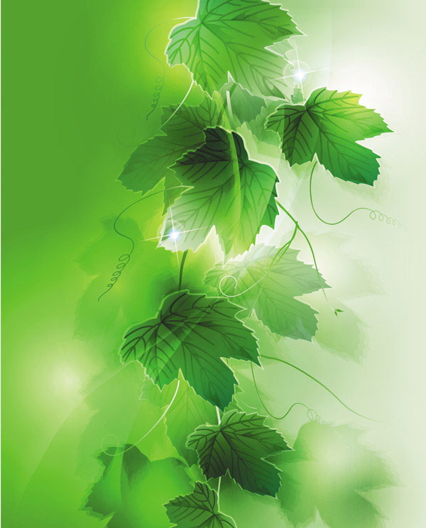 Dream Plant background vector material -5 5