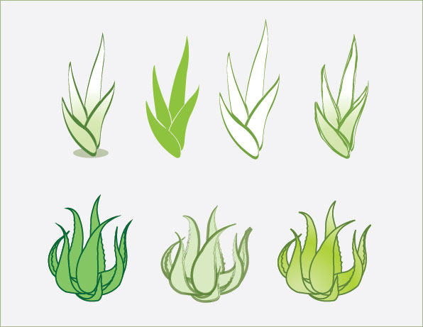 Aloe Vera Vector