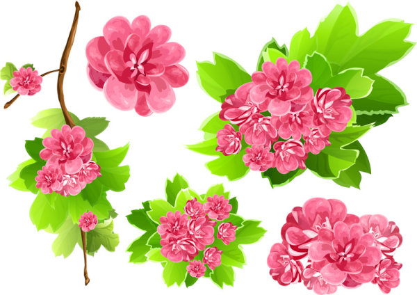 Flowers background 02 - vector material Download Free Vector,PSD,FLASH