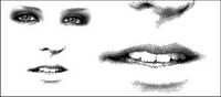 face vecteur