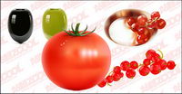 fruits et lgumes vecteur matriel