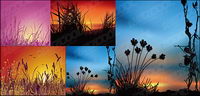 coucher de soleil paysage vecteur matriel