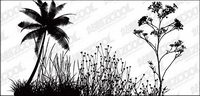 Vector-fleurs, des arbres de noix de coco matriel