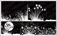 des fleurs et en noir et blanc, vecteur