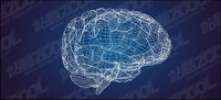 Modle en 3D du cerveau de type vecteur matriel