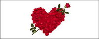 Compos de ptales de roses en forme de coeur Photo du matriel