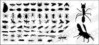 Vector silhouette de matriel divers insectes