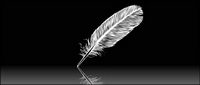 White plume vecteur matriel