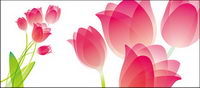 material especial de tulipn