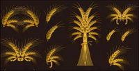Europenne d