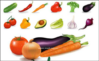 Plusieurs documents de lgumes commune vecteur