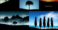 Belle silhouette vecteur paysages matriel