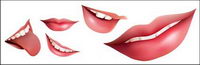 Bouche Vector matriel