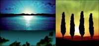 5 Vector dcors ralistes