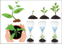 Plants Vector