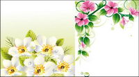 Parterres de fleurs Vector \ u0026amp; fond