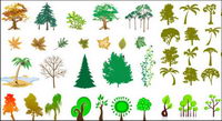 Vector arbres srie
