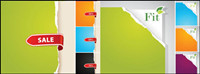 Papel rasgado Vector de fondo