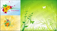 Plant Fleur de papillon