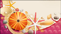 Coquilles et 01 matriels d