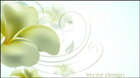 Texte design lgant lys matriel vecteur de fond