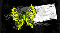 Couleur abstraite papillon modle 03 - vecteur