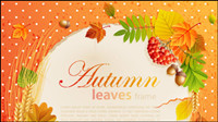 Bel automne feuilles de fond 05 châssis - matriel vecteur