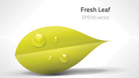 Green leaves vector material