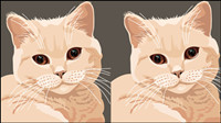 Le matriel animal chat 04 - vecteur