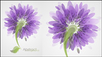 Mode fleurs -3 matriel vecteur