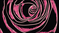 Roses Vecteur partielle -3