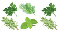 Chinoise  base de plantes feuillage 04 - vecteur