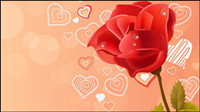 Rose rose rose rouge vecteur