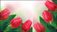 Tulipes lumineuses 02 - vecteur