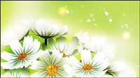 Belles fleurs - vecteur 01