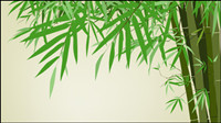 Green texto de bamb fondo de la plantilla vector material -2