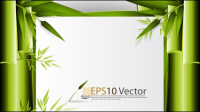 Texto verde de bamb fondo de la plantilla vector material -1