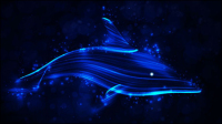 Colorful Dolphin 01 - matriel vecteur