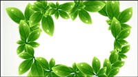 Vert frontire forme de la feuille 03 - vecteur
